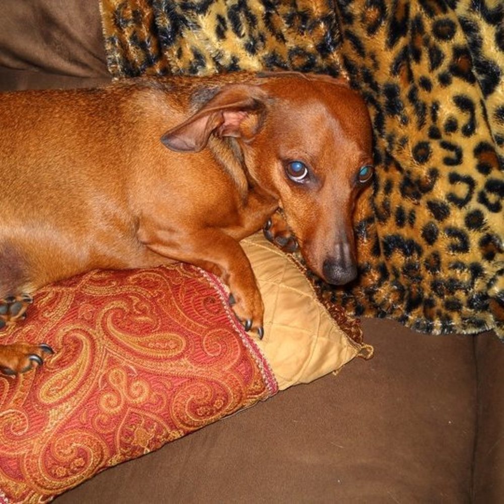 Meet your Posher, Lee